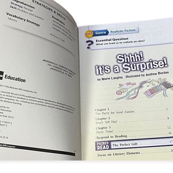 Shhh! It's A Surprise By Marie Langley Illustrated By Andrew Burdan Childrens - Picture 2 of 3